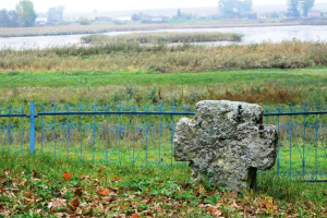 Княже місто, Пересопниця